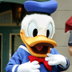 Illustration for article titled Woman Claims Donald Duck Groped Her